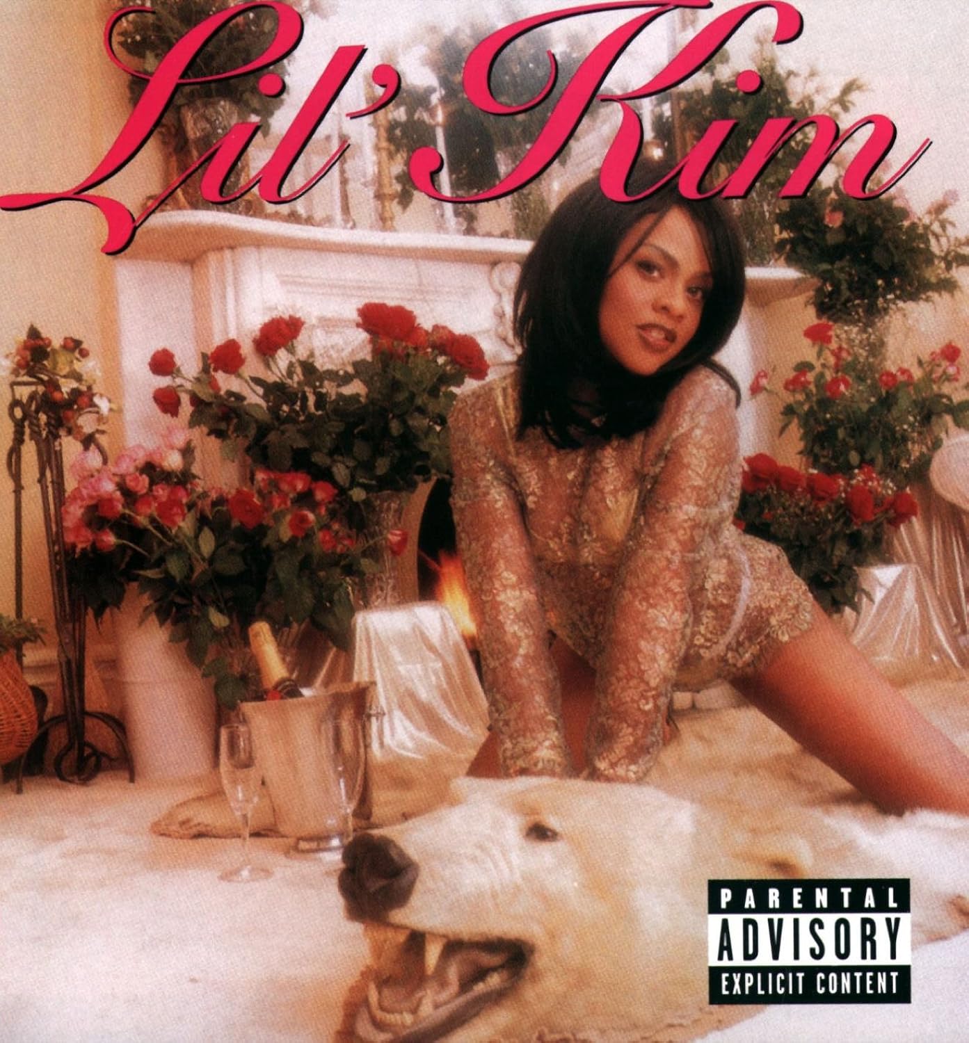Album Covers That Changed Black Beauty Forever
